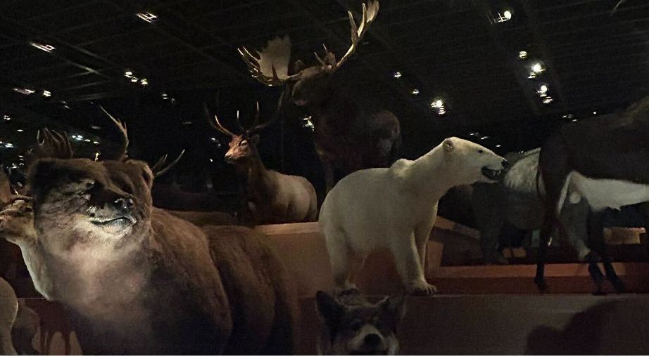 博物館の展示風景