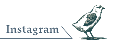 くるっくの博物館レポートはInstagramで紹介中