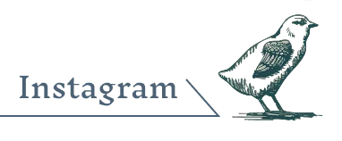 くるっくの博物館レポートはInstagramで紹介中