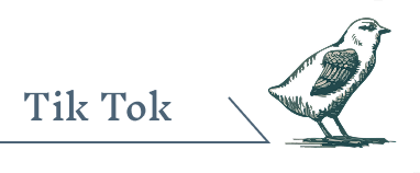 くるっくの博物館レポートはTikTokで紹介中