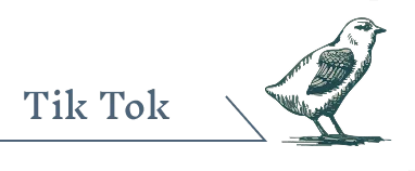 くるっくの博物館レポートはTikTokで紹介中