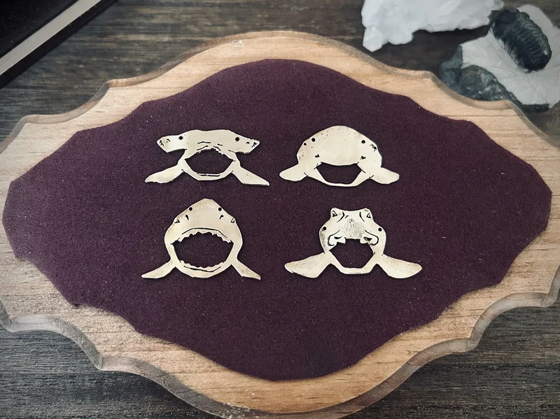 ハンドメイド作品「あくび眼鏡ホルダー　〜サメ〜」