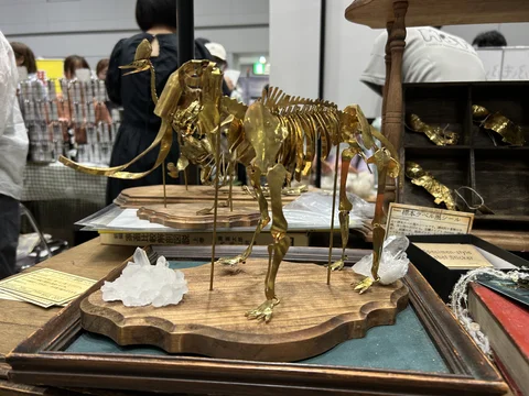 「2025博物ふぇすてぃばる！11 | Exhibition Archive」着用・展示イメージ