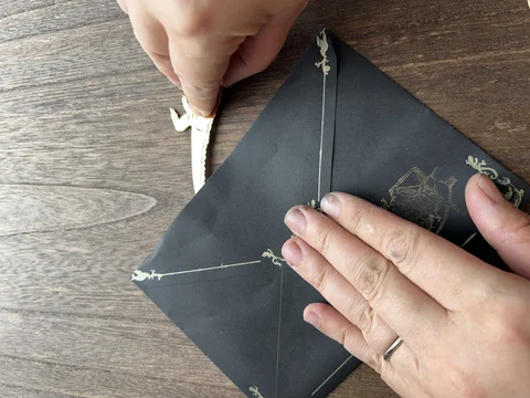 「名刀水棲生物・古代生物」着用・展示イメージ