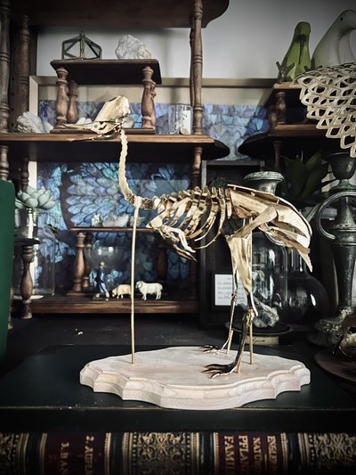 ハンドメイド作品「真鍮骨格パズル　〜ヒクイドリ〜」