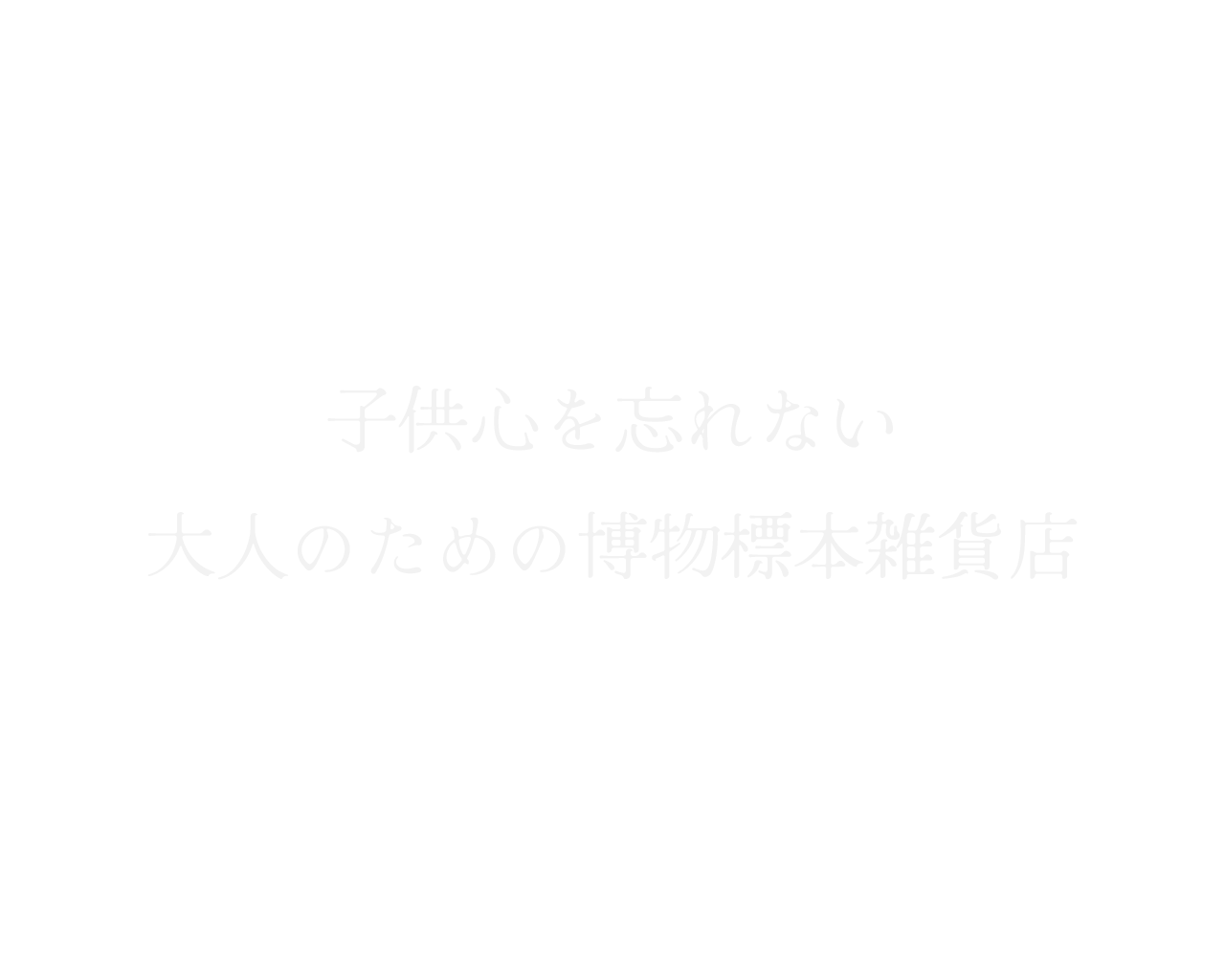 子供心を忘れない
            大人のための博物標本雑貨店