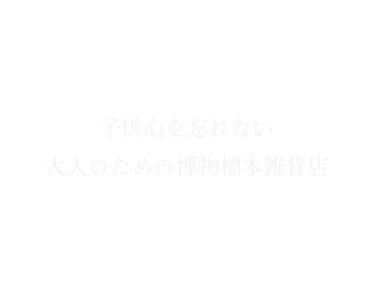 子供心を忘れない
            大人のための博物標本雑貨店