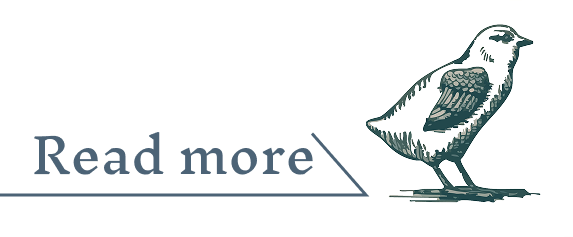 続きを読むボタン