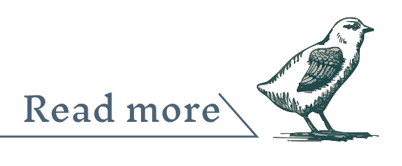 続きを読むボタン